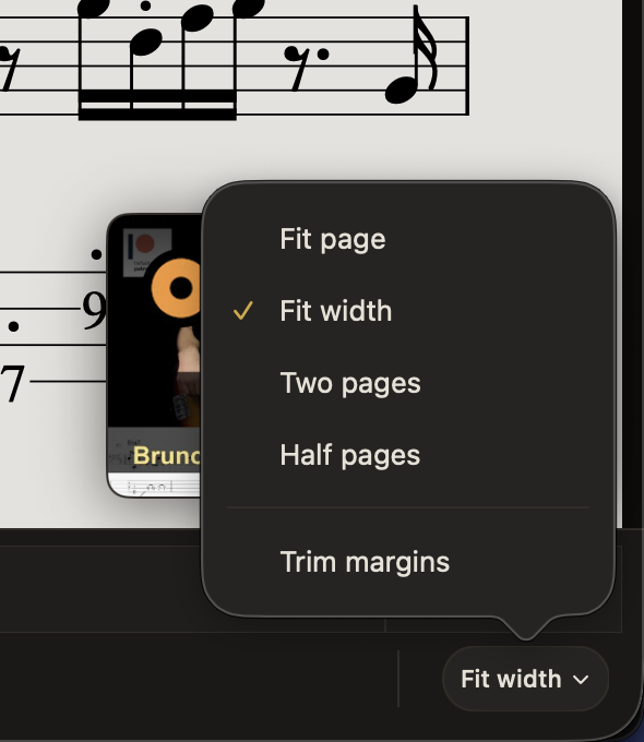 Afinar’s PDF view menu: Fit page, Fit width, Two pages, Half pages, and Trim margins.